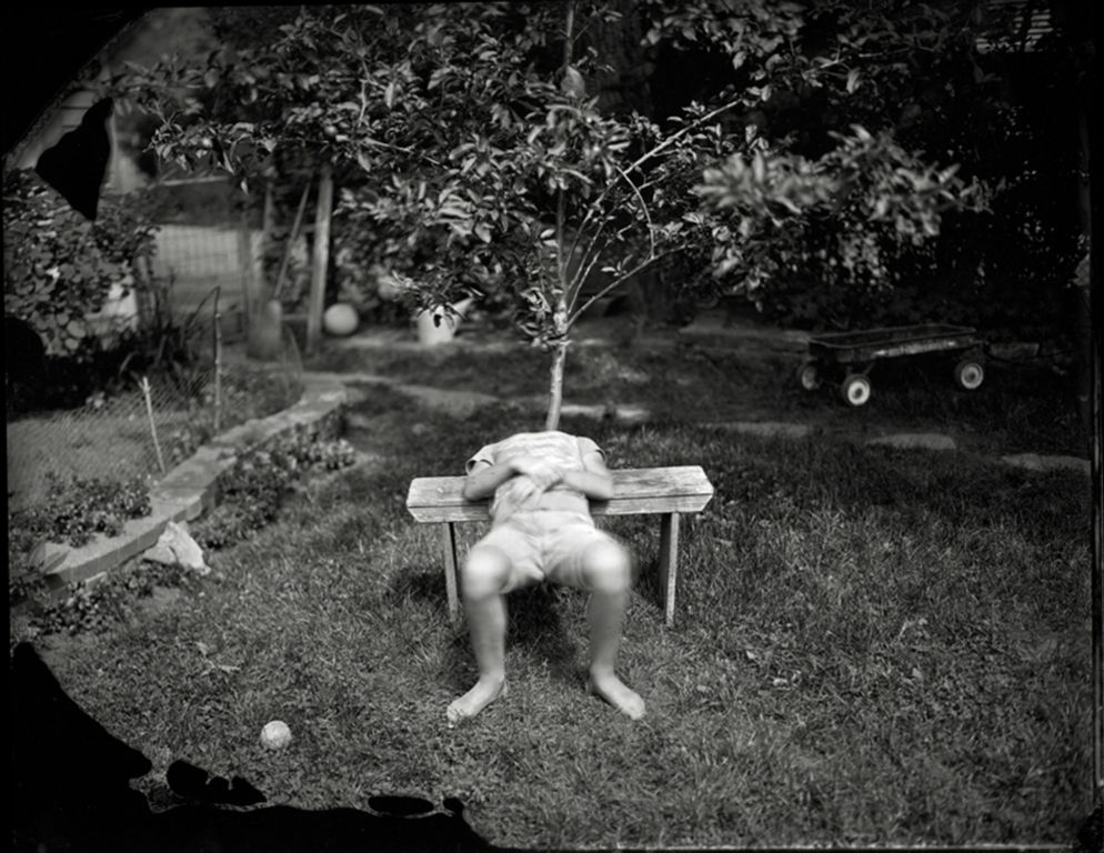 If I Had a Tree for a HeadSilver Gelatin Print made from Glass Plate Collodion NegativeJamie TuttleEvanston, IL