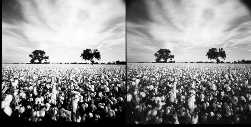 Cotton Harvest, Law, TXDigital PrintKaren HillierBryan, TX