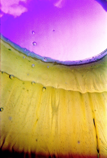 Yellow Inner Tube (Underwater Photo)Paul KlineWest Hartford, CT