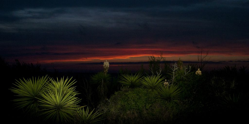 Sunset on Copano BaySuzanne DemareeRockport, TX