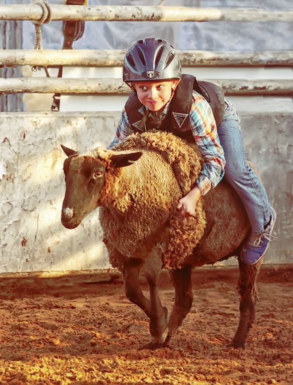 Mutton Busting with a SmileArchival Digital PrintWes OdellGeorgetown, TX