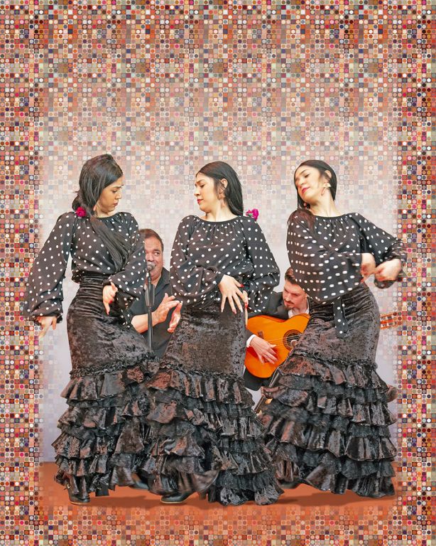 Flamenco VibrationsArchival Pigment PrintDavid BlowHickory Creek, TX