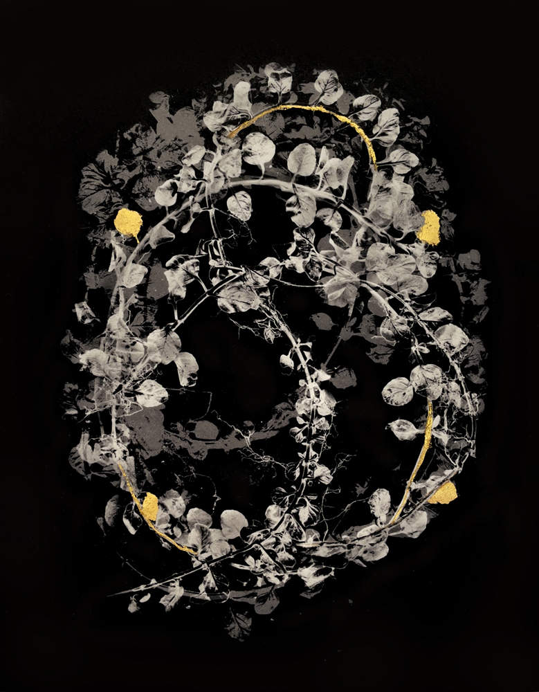 Pennyroyal: Lethal