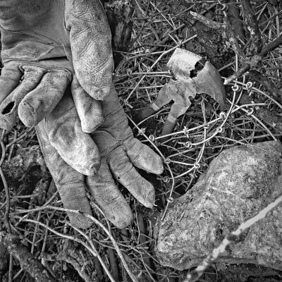 Toil in Vain