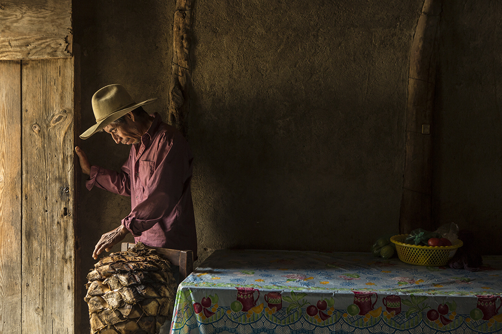 Emigdio the Mezcalero, Oaxaca