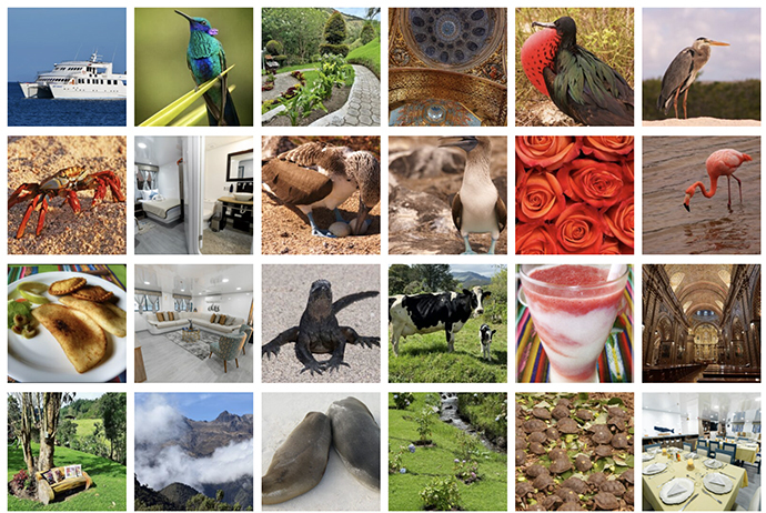 Screenshot 2025 09 28 at 7 06 29 PM copy