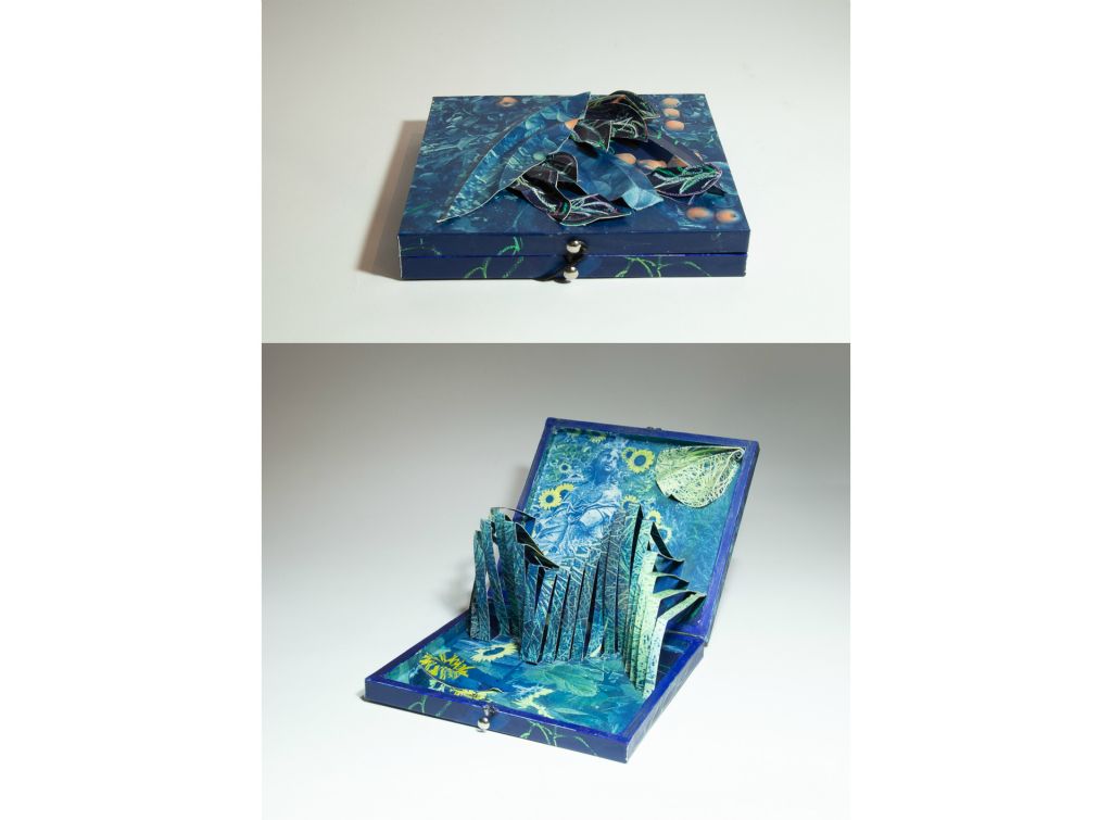 Sally ChapmanLowell, MAMaiden Boxcyanotype, pastels, cigar box