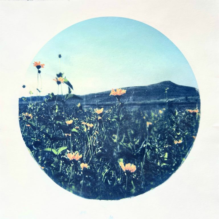 Epiphany KnedlerAberdeen, SDnothing but flowersarchival inkjet cyanotype print