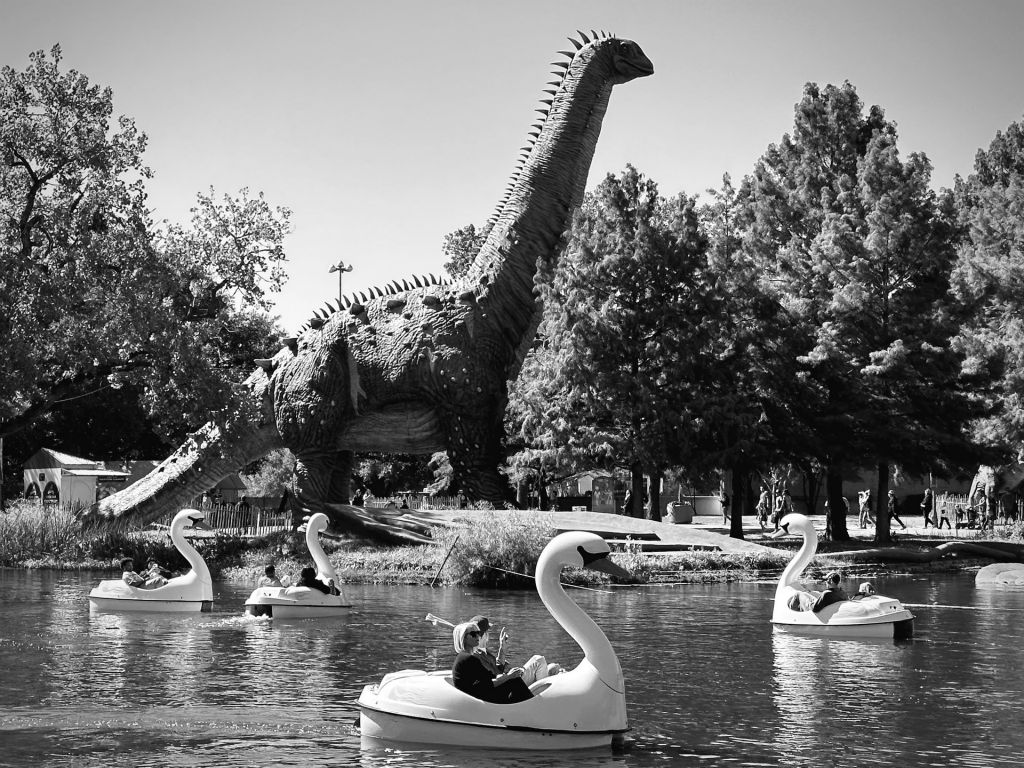 William OlssonDallas, TXFair Park Lagoon - Dallas, TXDigital Photograph