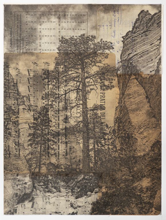 Sharon NavageOdessa, TXThe Tree at Tent Rock IVPhotopolymer Gravure With Collage