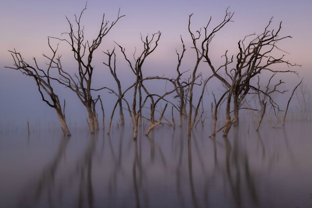 Jerry SargentCanyon Lake, TXAncients in the FogArchival Digital Print