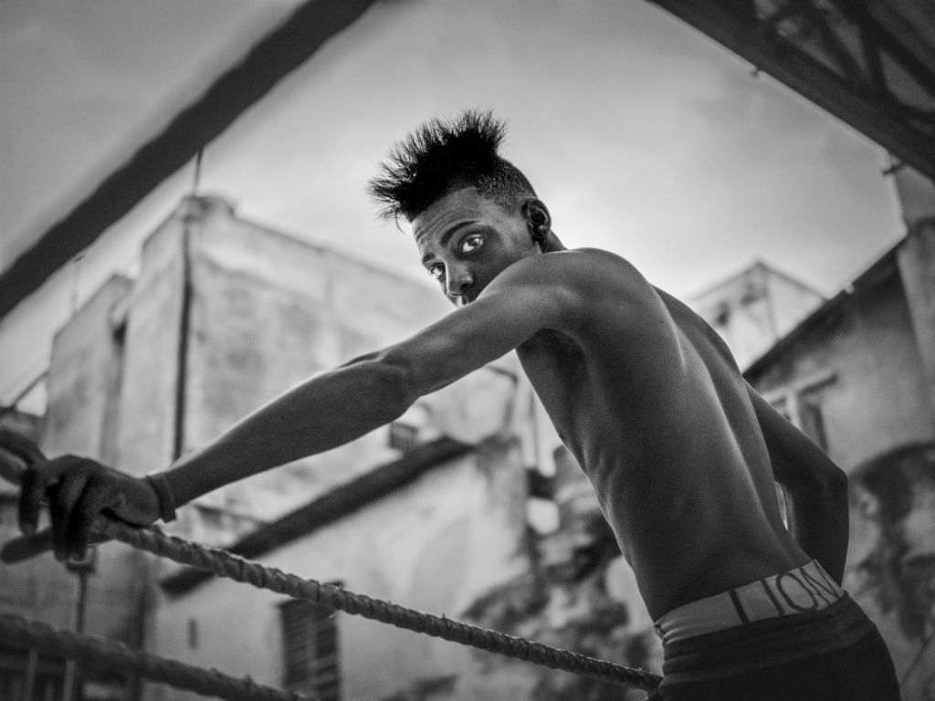 Young Boxer at Rest, CubaPlatinum/Palladium PrintDan BurkholderPalenville, NY