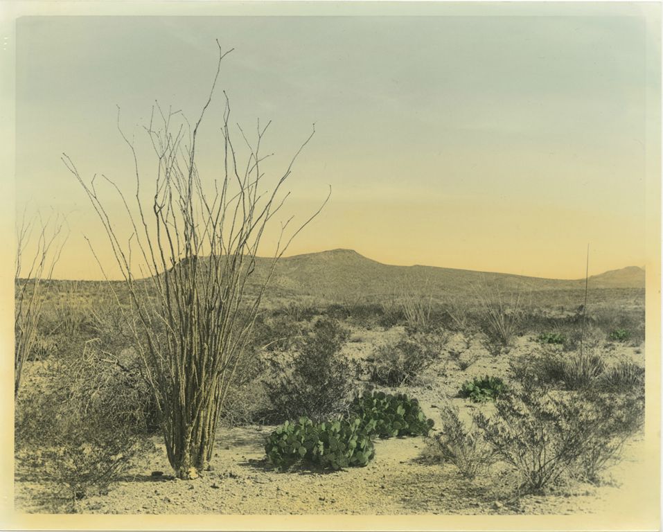 West Texas Landscape 2Hand-tinted Silver Gelatin PrintMarie KetringBuda, TX