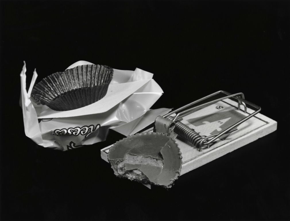 Snack TrapSilver Gelatin PrintDonald KrattOrlando, FL