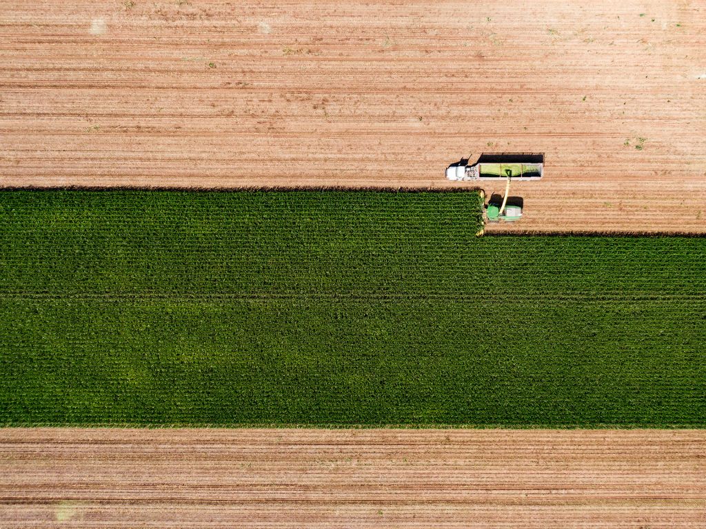 Silage, North of WacoArchival Pigment PrintJohn SkeesFt. Worth, TX