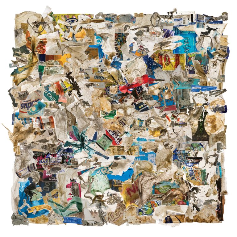 A Bad Wrap (215 wrappers collected from 1 mile of lakefront)Becky WilkesAzle, TX